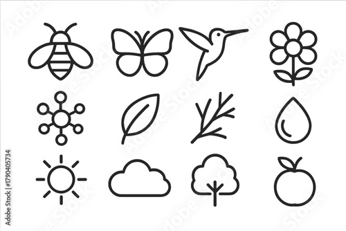 Pollination Icons Collection. Line style icons of Pollination: Bee, Butterfly, Hummingbird, Flower; Pollen, Leaf, Branch, Nectar;