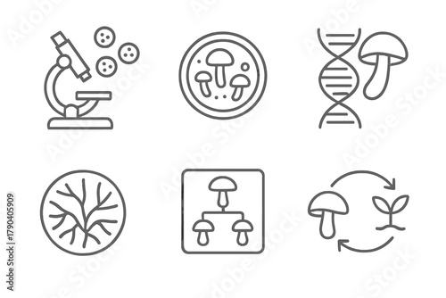 Mycology Line Icons. Line style icons of Mycology Symbols and Studies: microscope with spores, culture petri dish, mycelium