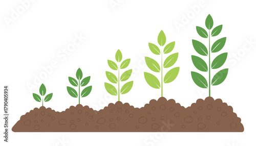 Clean educational artwork showing sequential stages of plant development from seed to small plant in soil.