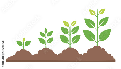 Educational diagram showing the development of a plant in soil, from seed germination