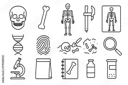 Forensic Anthropology Icons. Line style icons of Forensic Anthropology: human skull, femur bone, skeleton diagram, measuring