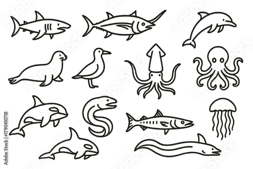 Ocean Predator Icons. Line style icons of Ocean Predators: shark, tuna, swordfish, dolphin; seal, seabird, squid, octopus; killer