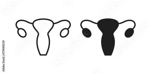 Uterus icon vector with glyph style. Stroke liner icons