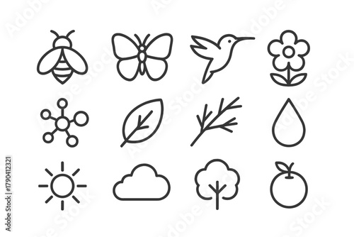 Pollination Icons Collection. Line style icons of Pollination: Bee, Butterfly, Hummingbird, Flower; Pollen, Leaf, Branch, Nectar;