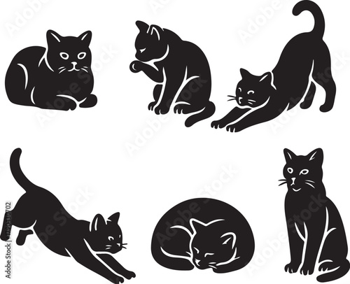 cat postures black and white vector illustration.eps