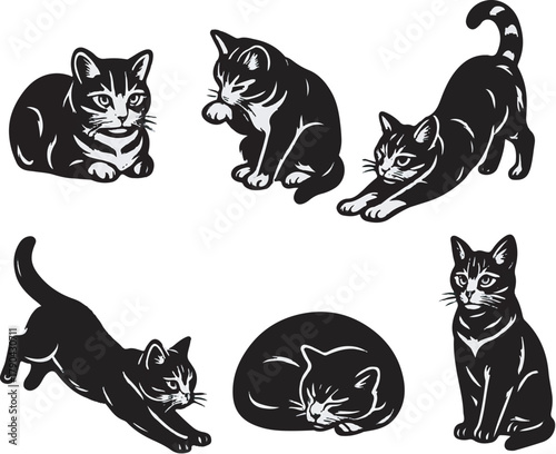 cat postures detailed black and white vector illustration.eps