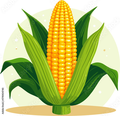 Vibrant illustration of a ripe ear of corn with green leaves, symbolizing agriculture and healthy eating