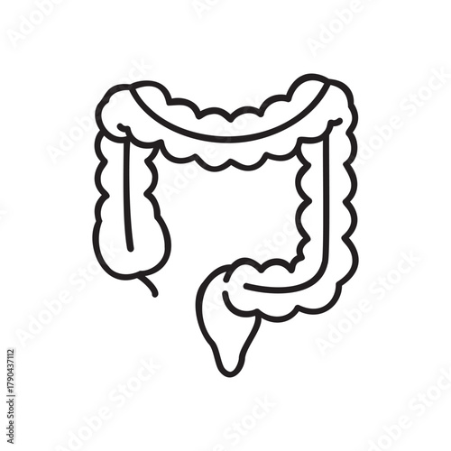 Colon Health Diagram Anatomy Digestion Disease Awareness Gastroenterology Intestinal System Gut Health Digestive System