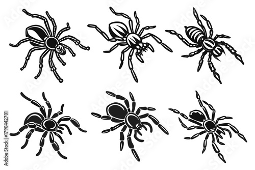 Eight minimalist tarantula themed icons in black and color
