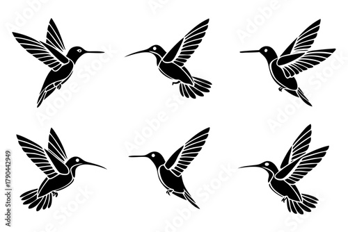 Minimalist hummingbird icon set with realistic details