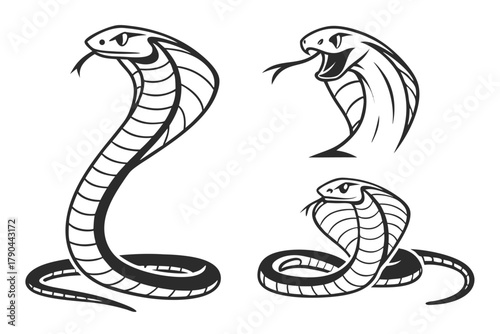 Minimalist realistic snake icon set in black and yellow