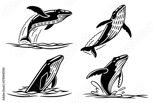 Minimalist realistic whale breach icon set