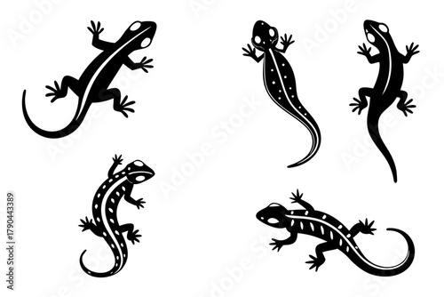 Eight minimalist salamander icons in black and color