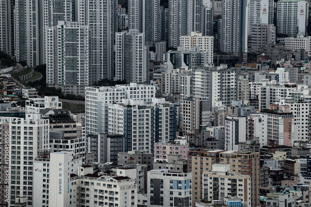 Fototapeta Busan buildings covering hillsides, depicting dense population and urban living