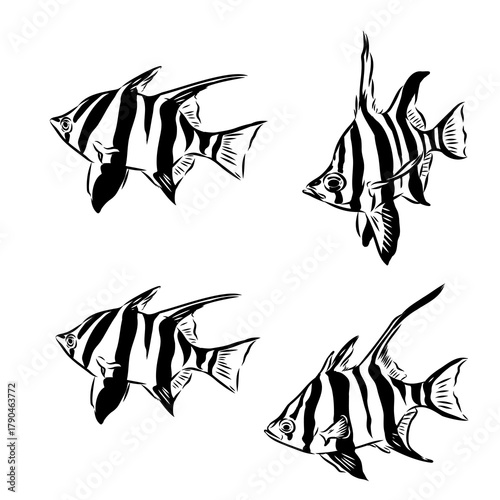 Stickleback fish, vector sketch fish line ink sketch