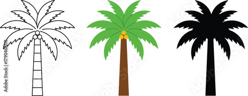 Single Coconut Palm Tree Icon Set - Outline, Color, and Silhouette Vector