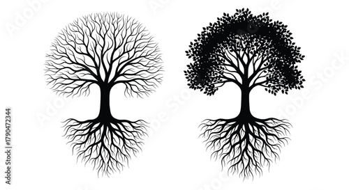 Two black tree silhouettes with roots and branches on white background