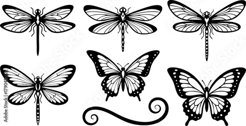 Vintage black and white dragonfly and butterfly vector collection with decorative elements and delicate wing details