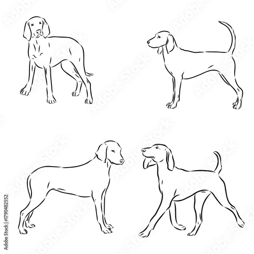 Porcelaine dog isolated on white background