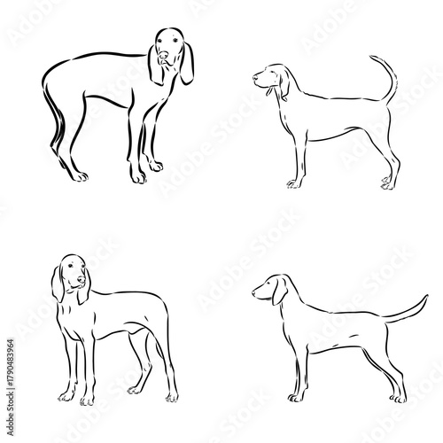 Porcelaine dog isolated on white background