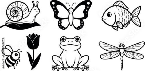Vector collection of black and white insect and amphibian line art including snail butterfly fish bee frog and dragonfly