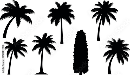 Tropical palm tree silhouettes and cypress vector set in black for design and decoration purposes