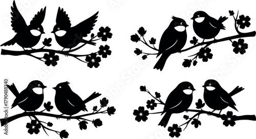 Silhouette birds sitting on branches with flowers vector design for nature and wildlife themes