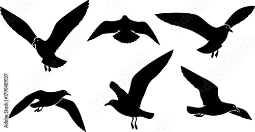 Flying seagulls silhouettes in black isolated on white background vector illustration