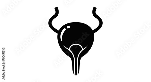 Human bladder anatomy silhouette medical illustration.