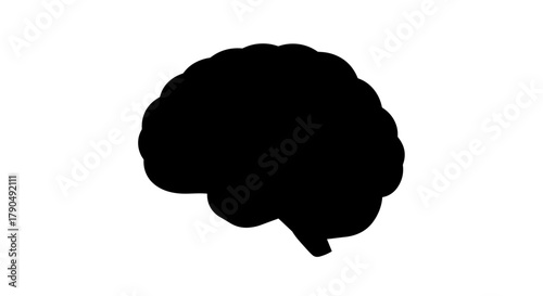 Human Brain Silhouette on White Background.