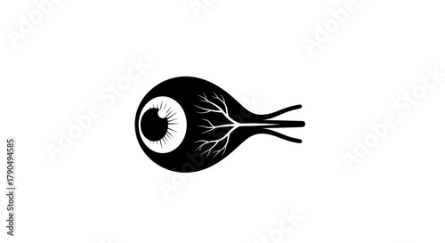 Anatomical Eye Illustration A Detailed Visual Representation.