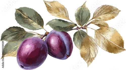 Vibrant Drawing of Purple Plums with Green Leaves and Gold Leaf