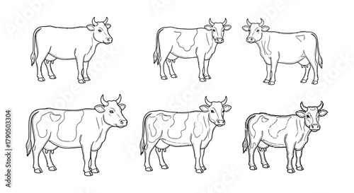 Six line drawing cows in a pattern on a white background surface