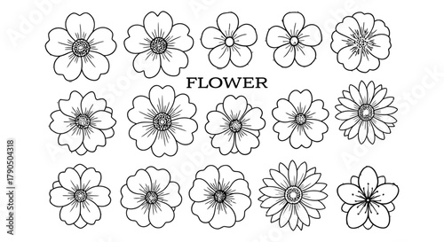 Assorted flower illustrations with varying petal counts and styles