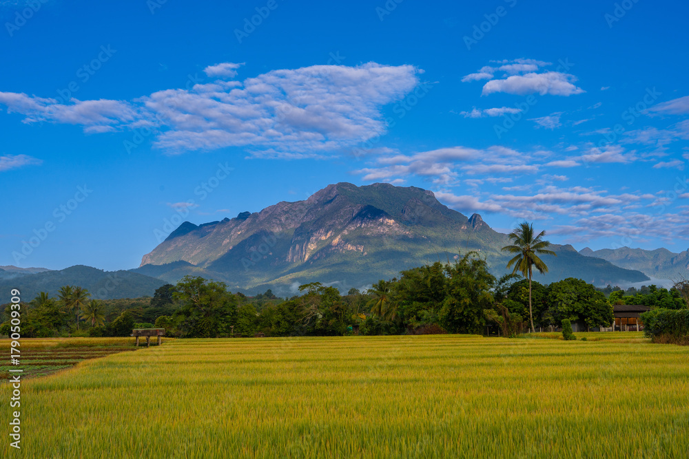 Fototapeta premium Beautiful view of Doi Luang Chiang Dao Mountain and hill with green field blue sky, Chiang Mai, Thailand