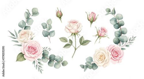 Watercolor roses and eucalyptus leaves arrangement on white background.