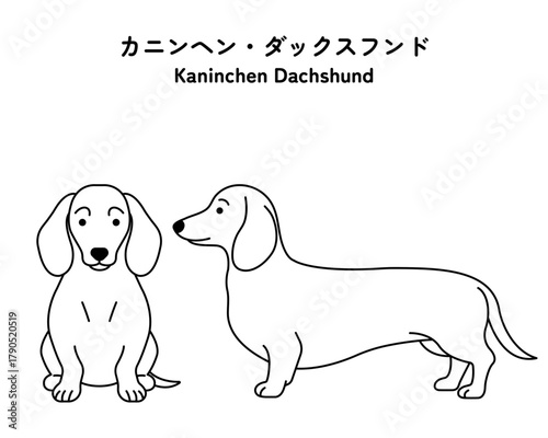 カニンヘン・ダックスフンドの全身 線画イラストセット（ベクター）　編集可能なパス