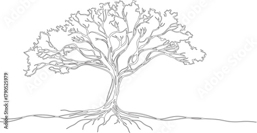 Silhouette or line art or sketch art of tree with roots drawn by handmade with various sketch lines.