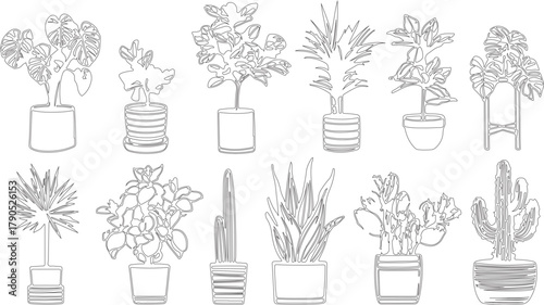 Sketch art or line art of set of plants with roof planting concept. Various little pot of plants arranging randomly.
