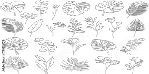 seamless pattern of various leaf set with leaves arranging randomly side by side.
