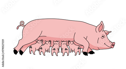 Happy Mother Pig Feeding Piglets Family Farm and Animal Care Illustration
