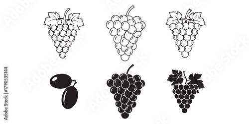 Grape Icon Food Fruits, bunches of grapes icons editable stroke, flat design style isolated on white, Outline and filled graphic icons of a bunch of grapes on a vine,  Illustrator grape bunch with