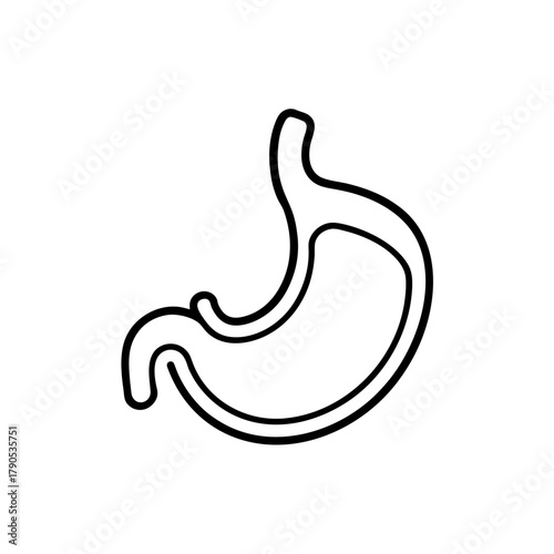 Illustration of a human stomach in simple outline on transparent background silhouette