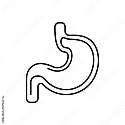 Illustration of a human stomach in outline style on transparent background silhouette