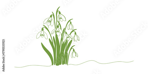 A single line drawing of snowdrops. A sketch capturing the first blooms of spring. Botanical art in continuous line form. A creative vector illustration.