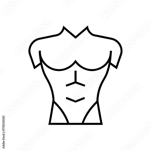 Outline illustration of a muscular male torso on transparent background silhouette