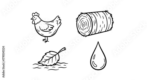Hand-drawn chicken, hay bale, leaf, and water droplet illustrations  Regenerative Agriculture icon set