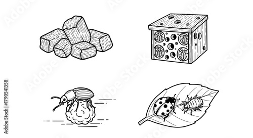 Insects and nature sketches including blocks and a leaf  , hive, beetle dung, ladybag, beetle mite  Regenerative Agriculture icon set