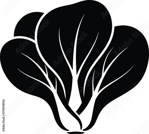 Illustration of black and white bok choy illustration isolated on white background