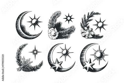 Collection of celestial and botanical graphic elements